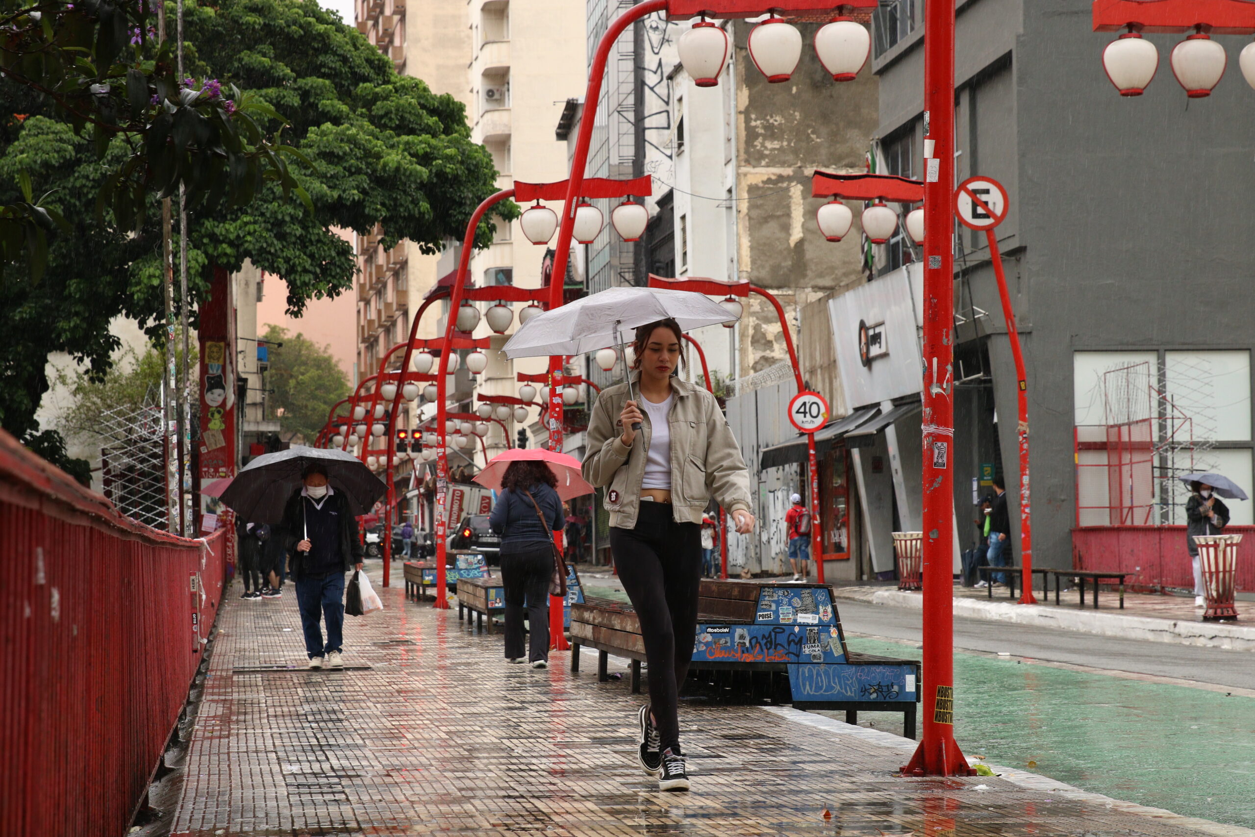 contabilidade na liberdade